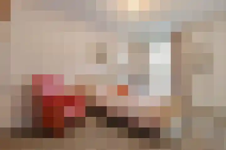 Vechtkade 43 Ommen thumbnail 32
