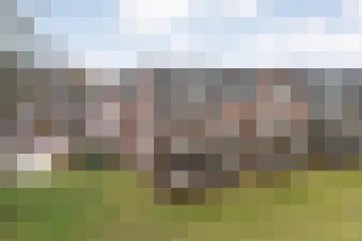Vechtkade 43 Ommen thumbnail 4