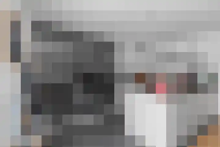 Vechtoever 5 Utrecht thumbnail 11