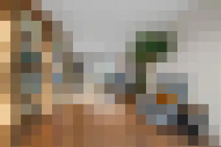 Vechtoever 5 Utrecht thumbnail 23