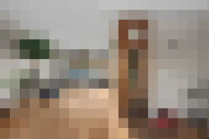 Vechtoever 5 Utrecht thumbnail 30