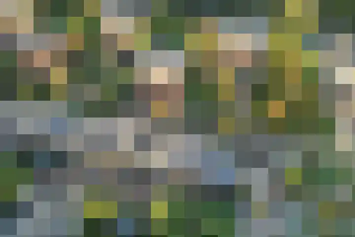 Vechtoever 5 Utrecht thumbnail 4