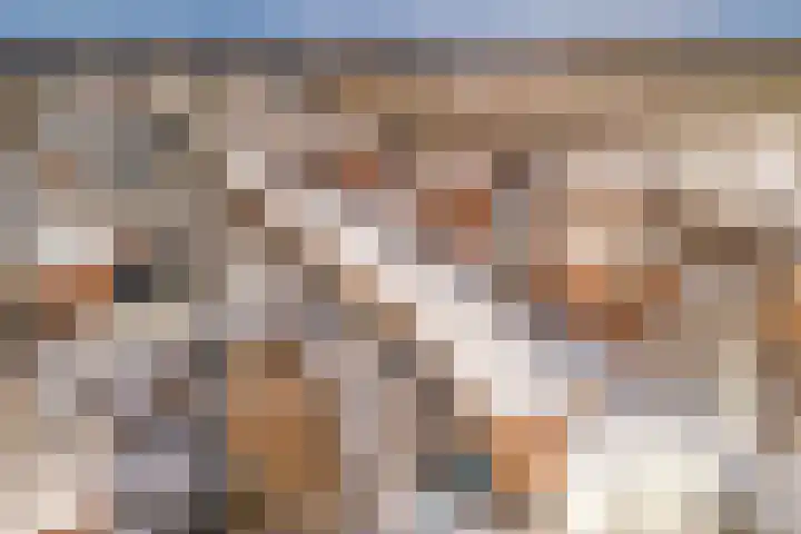 Vechtoever 5 Utrecht thumbnail 60