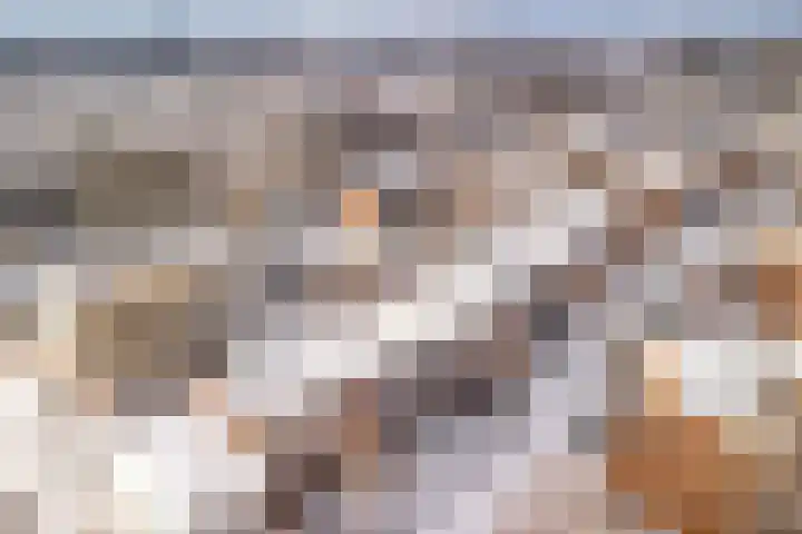 Vechtoever 5 Utrecht thumbnail 61
