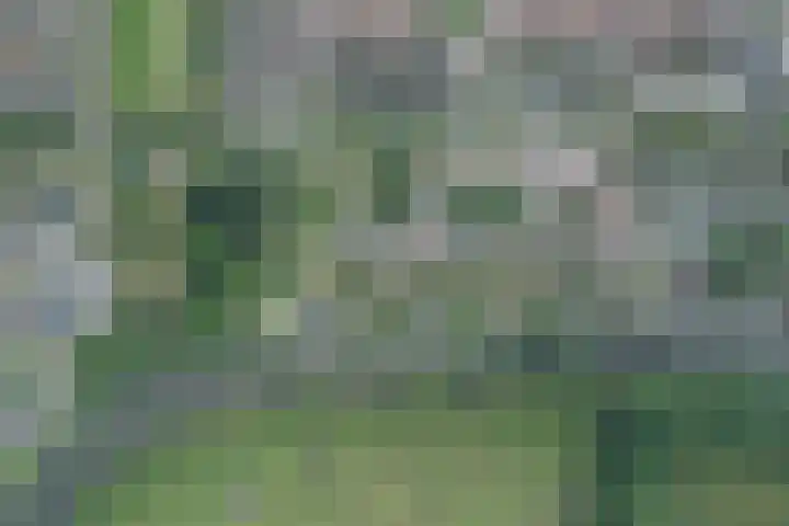 Vechtoever 5 Utrecht thumbnail 62