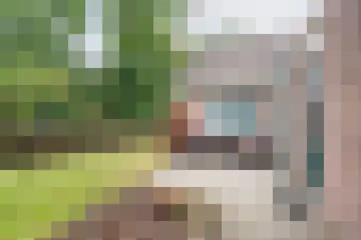 Vechtstraat 68 Ulft thumbnail 30