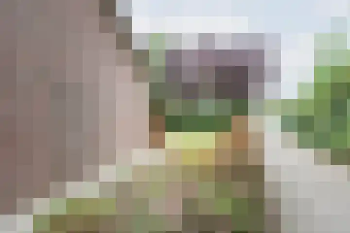 Vechtstraat 68 Ulft thumbnail 31