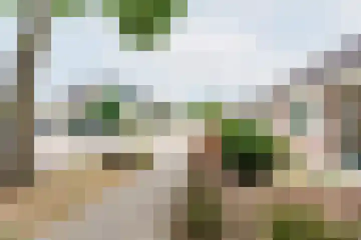 Vechtstraat 68 Ulft thumbnail 34