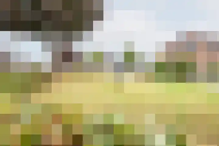 Vechtstraat 68 Ulft thumbnail 36