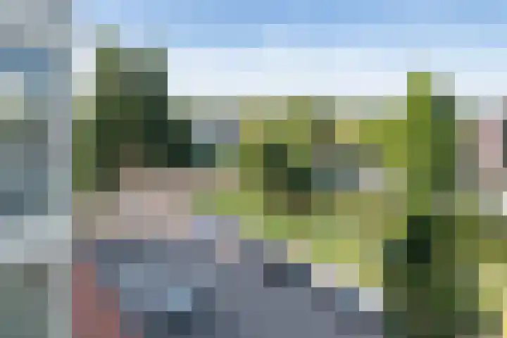 Vechtstraat 71 Ridderkerk thumbnail 6