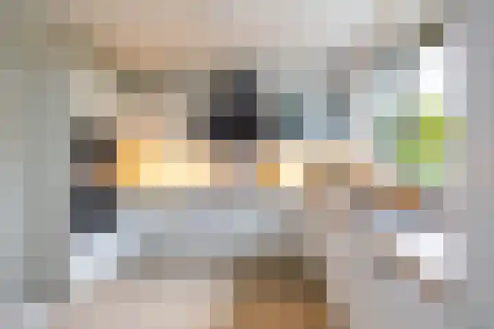 Vedel 1 Zevenaar thumbnail 11