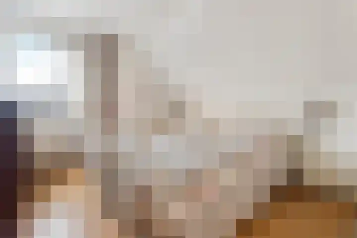 Vedel 1 Zevenaar thumbnail 15