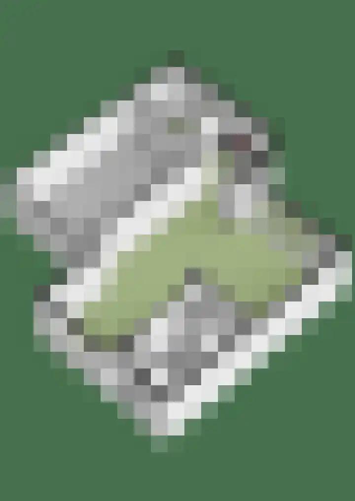 Vedel 1 Zevenaar thumbnail 26