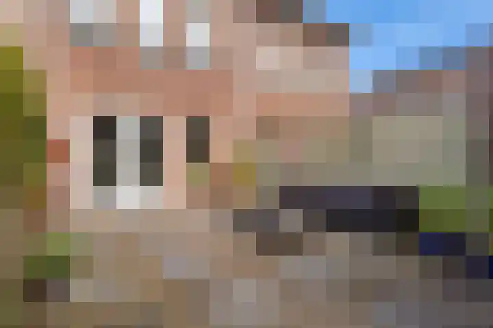 Vedel 1 Zevenaar thumbnail 30