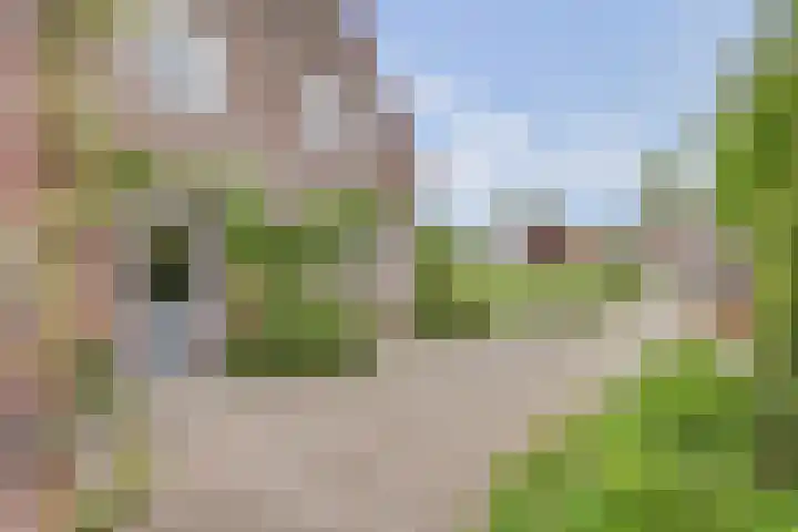 Vedel 1 Zevenaar thumbnail 6