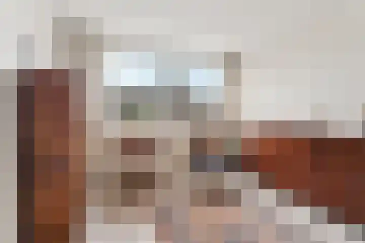 Vedel 1 Zevenaar thumbnail 7