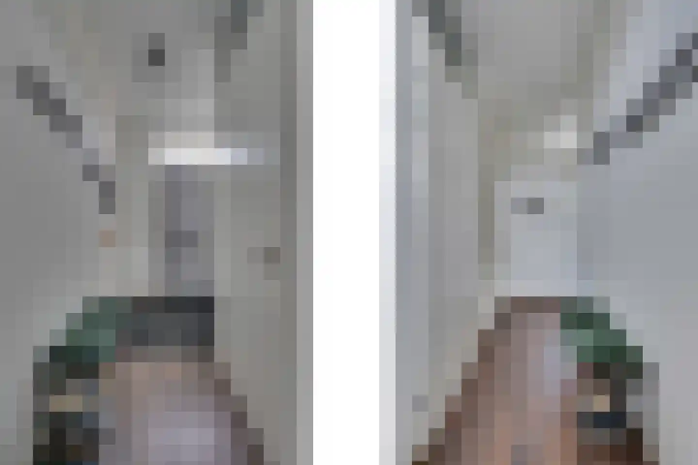 Vedelplein 22 Goes thumbnail 16