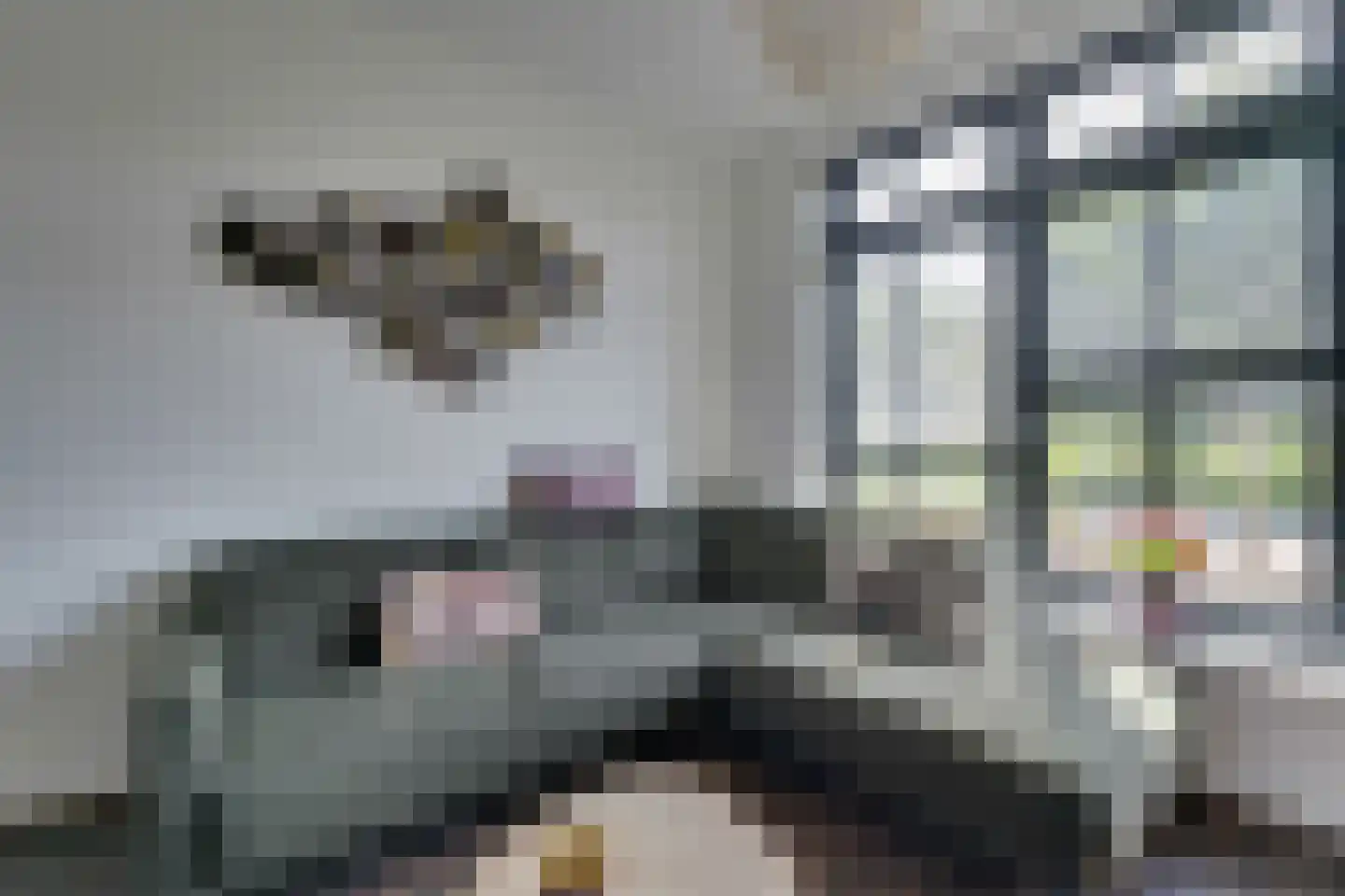 Vedelplein 22 Goes thumbnail 32