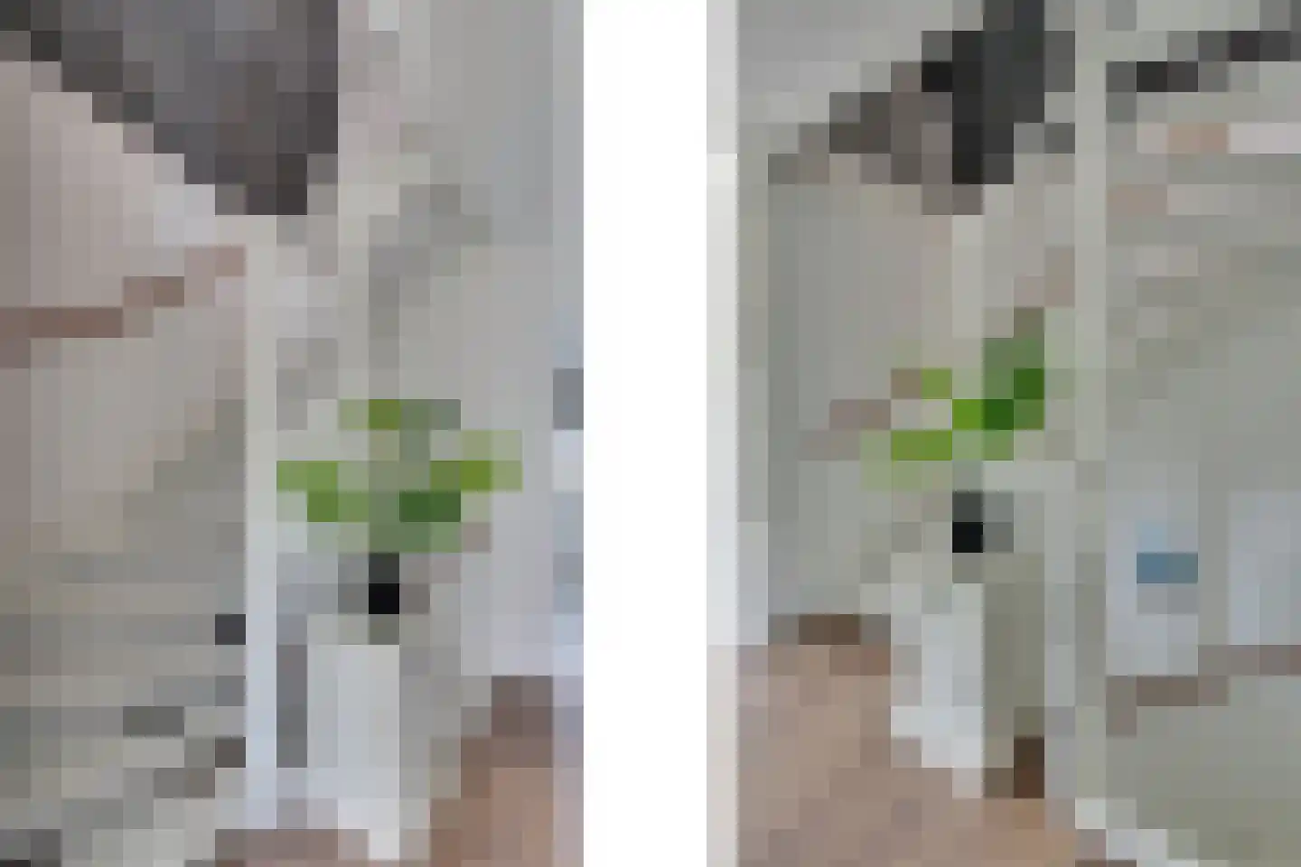 Vedelplein 22 Goes thumbnail 35