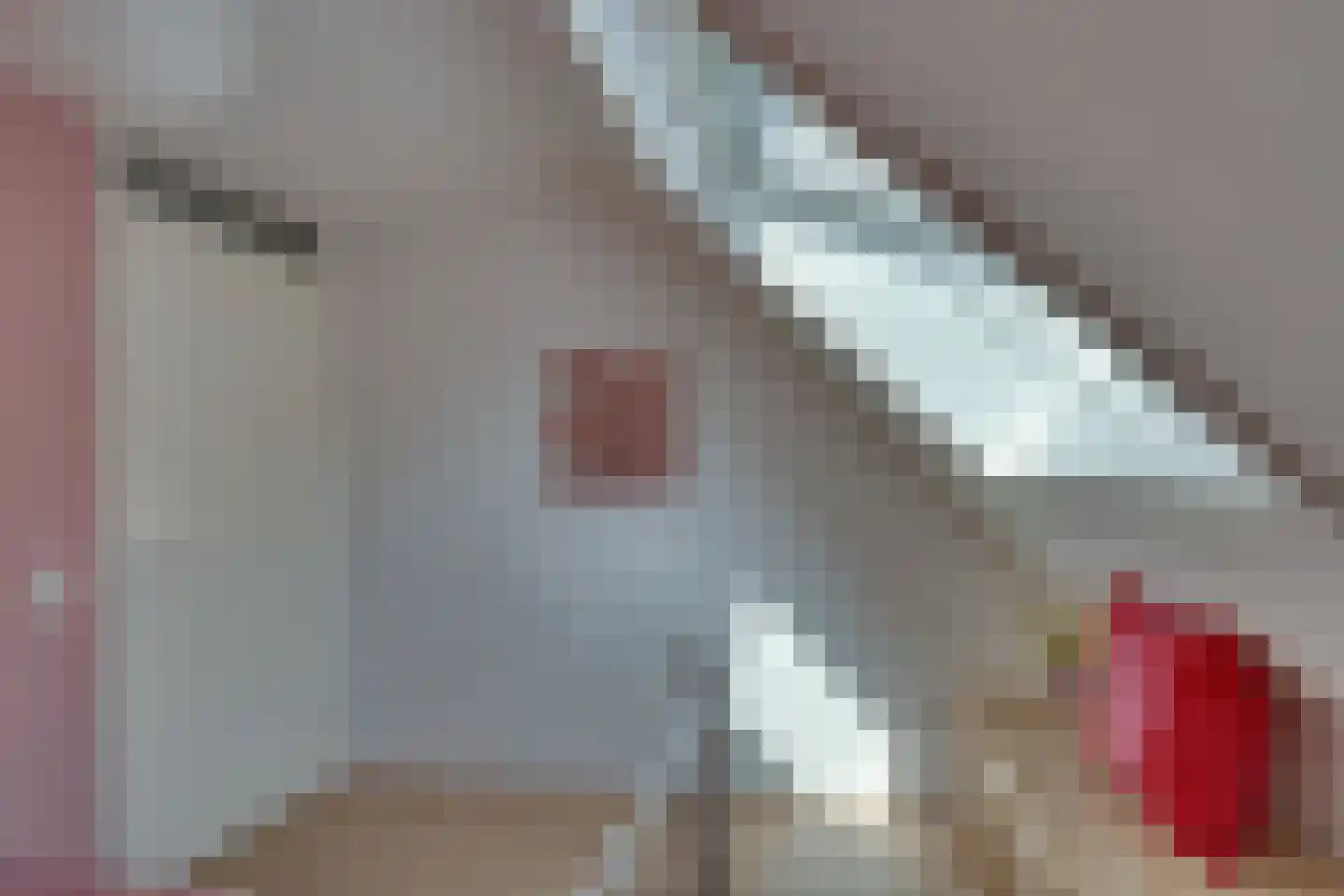Vedelplein 22 Goes thumbnail 56