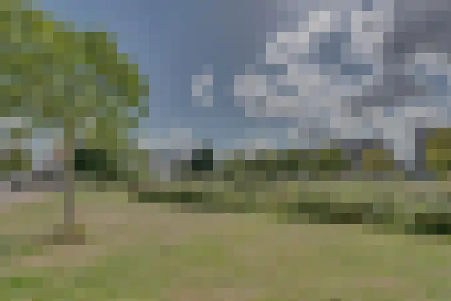 Vedelplein 22 Goes thumbnail 67