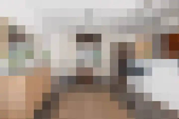 Vedelring 93 Etten-Leur thumbnail 12