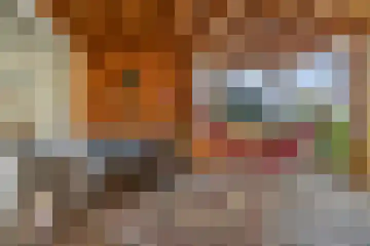Vedelring 93 Etten-Leur thumbnail 32