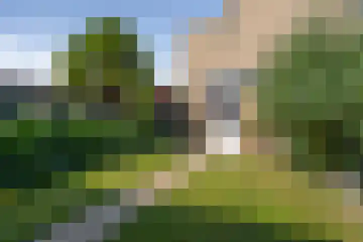 Vedelring 93 Etten-Leur thumbnail 35