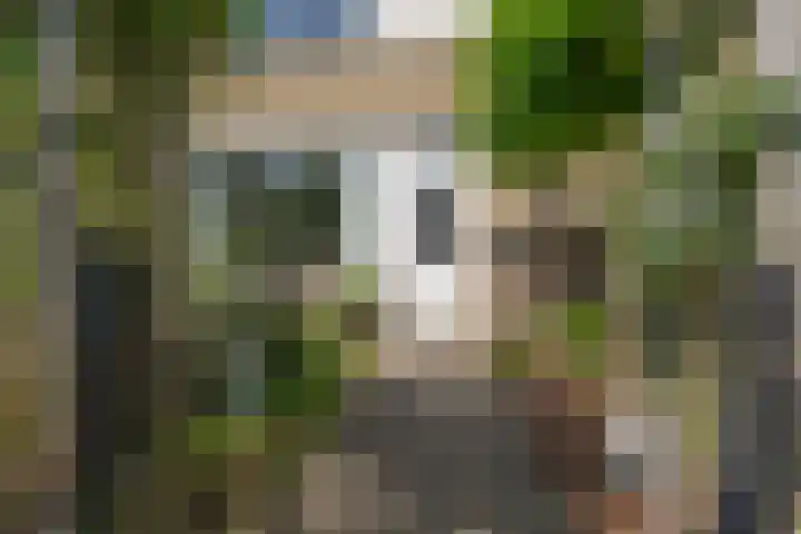 Vedelring 93 Etten-Leur thumbnail 5
