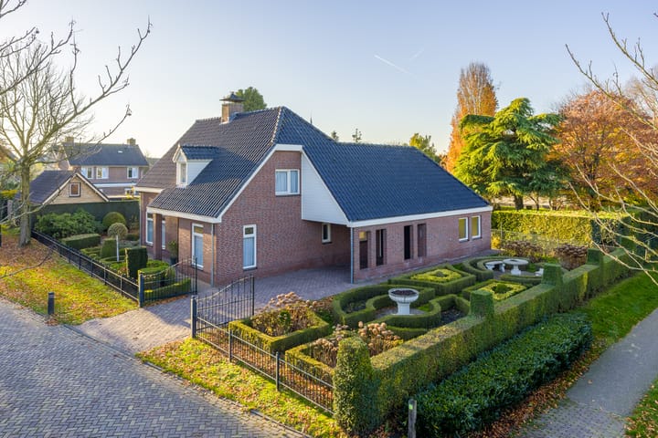 Vederdistel 1 in Zeeland foto