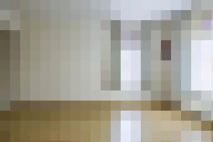 Vederdistel 1 Zeeland thumbnail 15