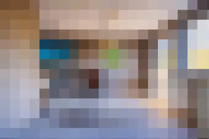 Vederdistel 1 Zeeland thumbnail 22
