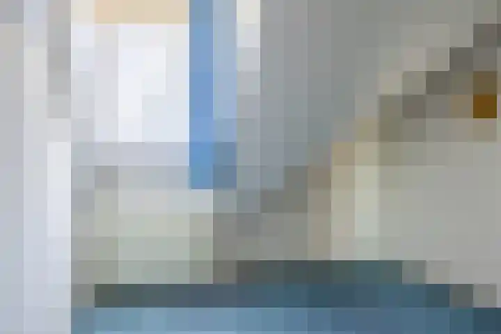 Vederdistel 1 Zeeland thumbnail 33