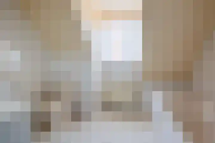 Vederdistel 1 Zeeland thumbnail 34