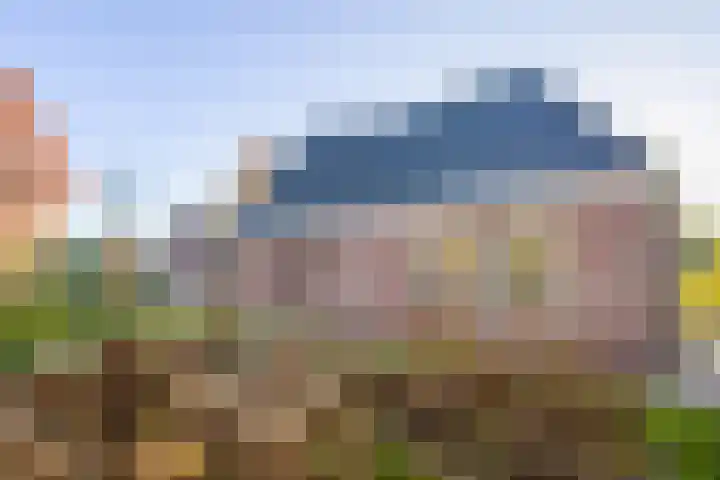 Vederdistel 1 Zeeland thumbnail 45