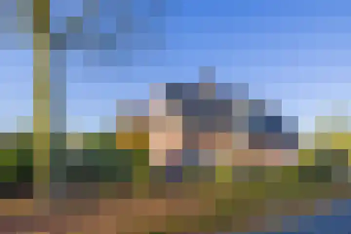 Vederdistel 1 Zeeland thumbnail 48