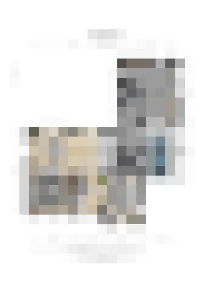 Vederdistel 1 Zeeland thumbnail 54