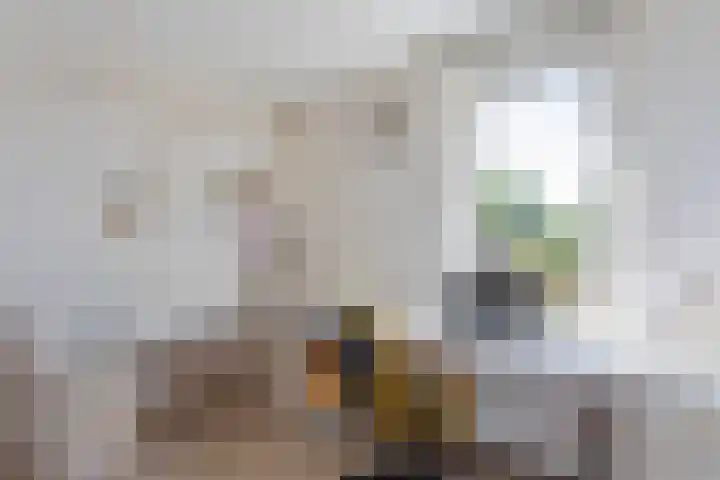 Vedergras 52 Borne thumbnail 11