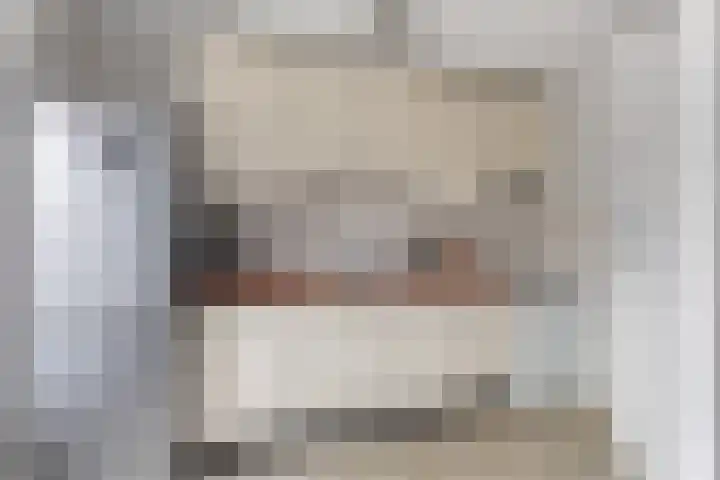 Vedergras 72 Borne thumbnail 11