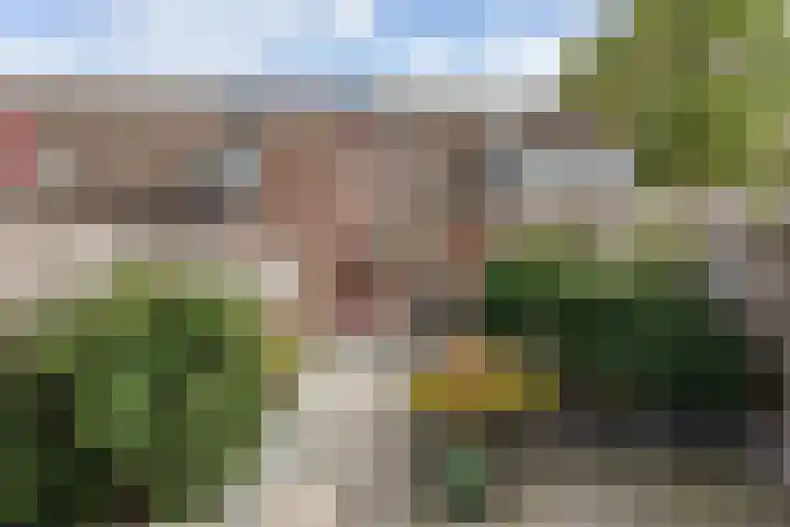 Vedergras 72 Borne thumbnail 16