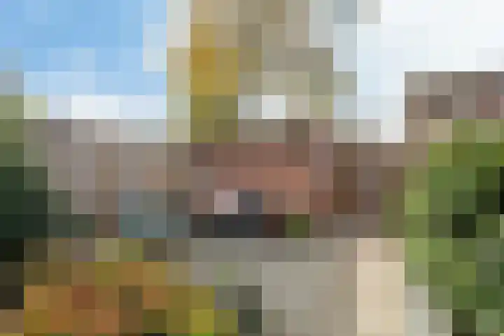 Vedergras 72 Borne thumbnail 18