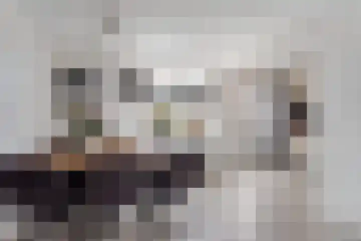 Vedergras 72 Borne thumbnail 9