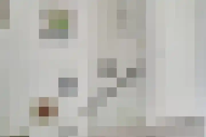 Vedergras 8 Houten thumbnail 14