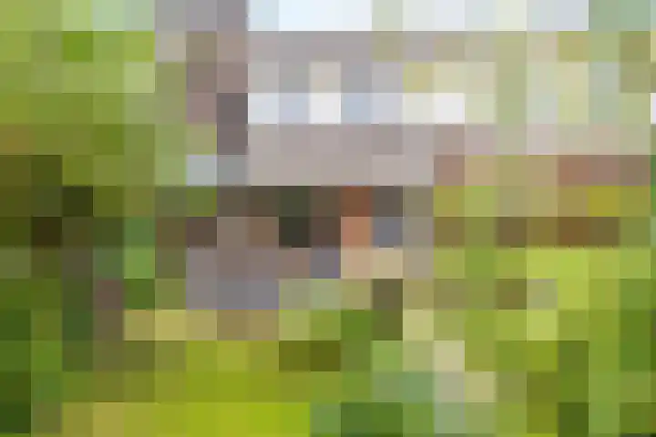Vedergras 8 Houten thumbnail 33