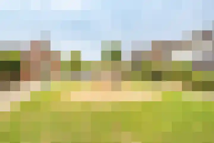 Vedergras 8 Houten thumbnail 36