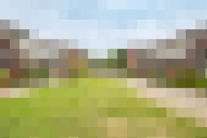 Vedergras 8 Houten thumbnail 37