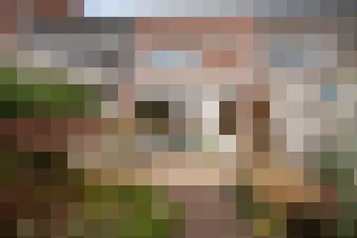 Vederkruidlaan 29 Enschede thumbnail 32