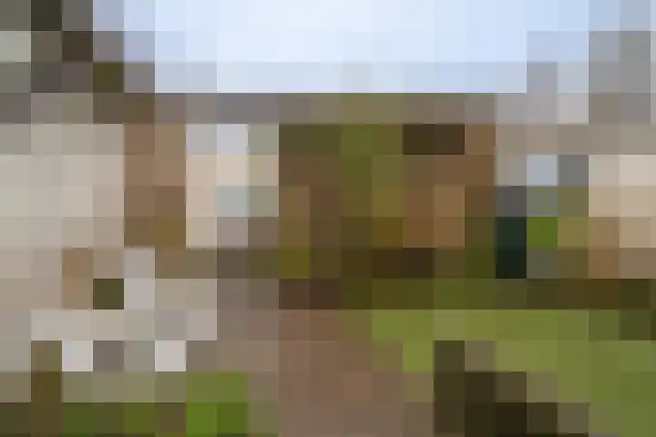 Vederkruidlaan 29 Enschede thumbnail 35