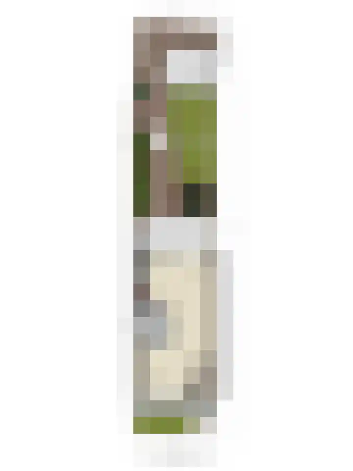 Vederkruidlaan 29 Enschede thumbnail 38