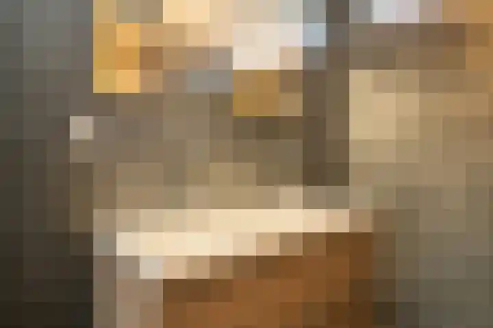 Vederkruidlaan 69 Enschede thumbnail 23